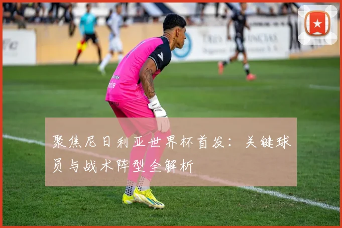 聚焦尼日利亚世界杯首发：关键球员与战术阵型全解析